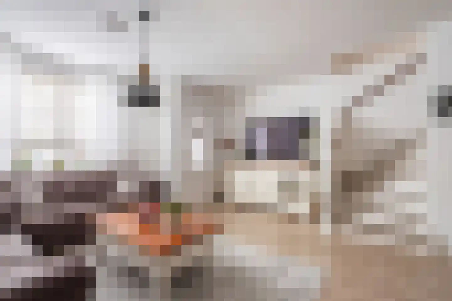 De Palmboomstraat 29 Westzaan thumbnail 9