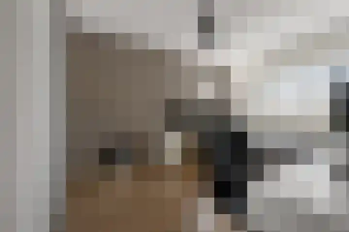De Palmboomstraat 44 Westzaan thumbnail 17