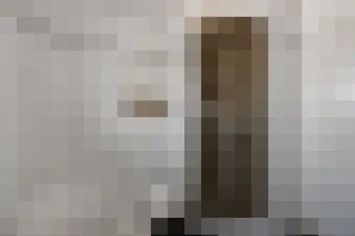 De Palmboomstraat 44 Westzaan thumbnail 21