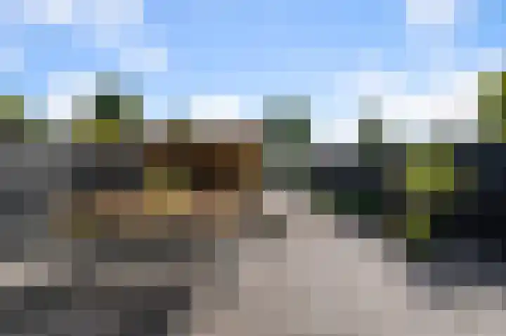 De Palmboomstraat 44 Westzaan thumbnail 25