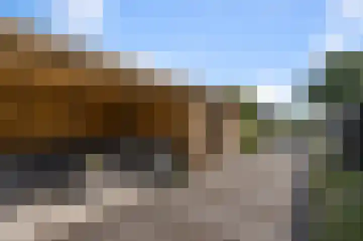 De Palmboomstraat 44 Westzaan thumbnail 26