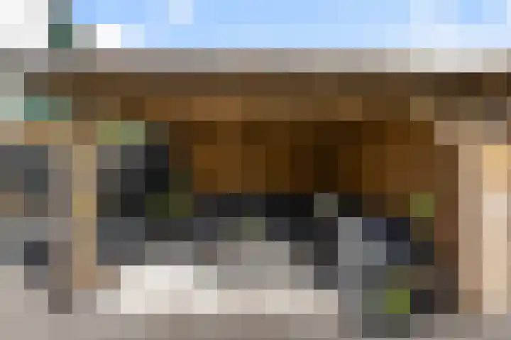 De Palmboomstraat 44 Westzaan thumbnail 27