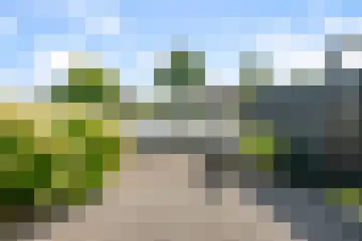 De Palmboomstraat 44 Westzaan thumbnail 29