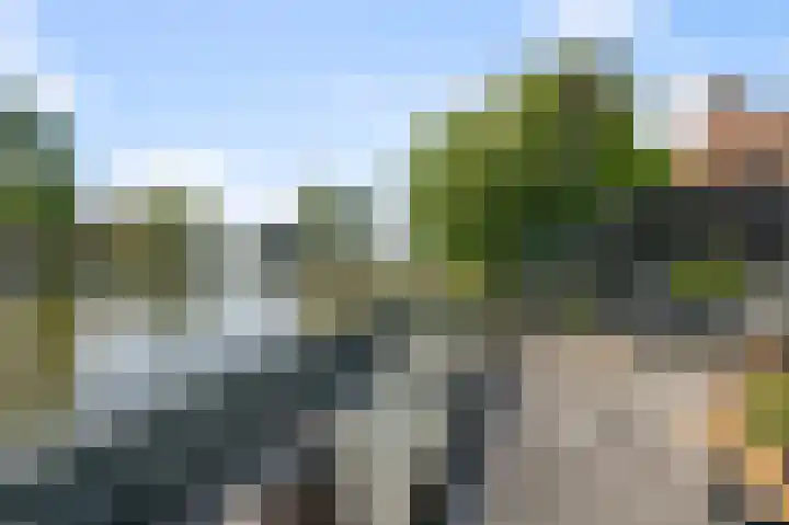De Palmboomstraat 44 Westzaan thumbnail 30
