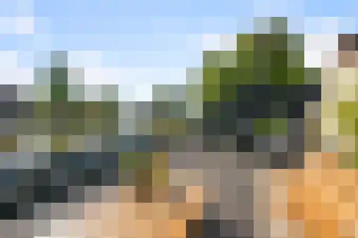 De Palmboomstraat 44 Westzaan thumbnail 31