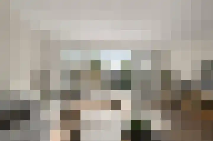 De Palmboomstraat 44 Westzaan thumbnail 4