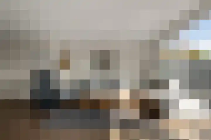 De Palmboomstraat 44 Westzaan thumbnail 5