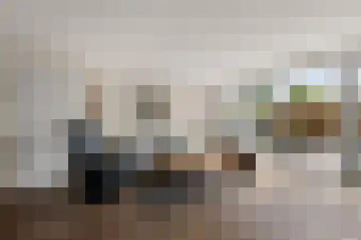 De Palmboomstraat 44 Westzaan thumbnail 6