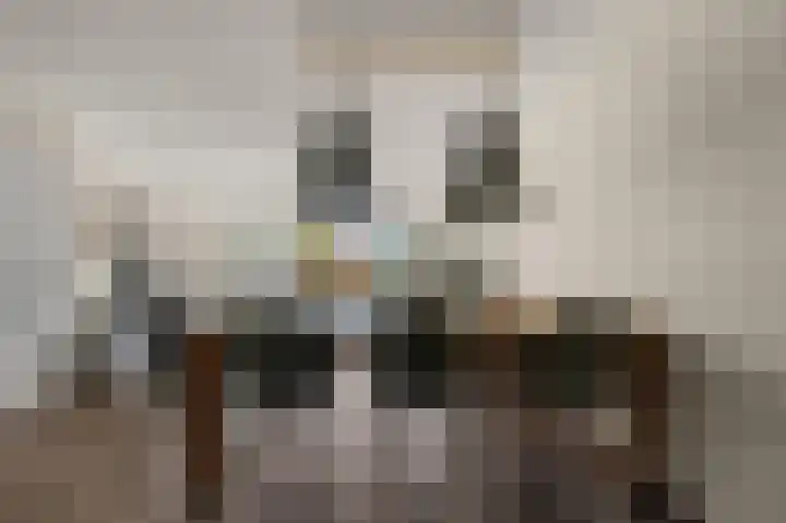 De Palmboomstraat 44 Westzaan thumbnail 8