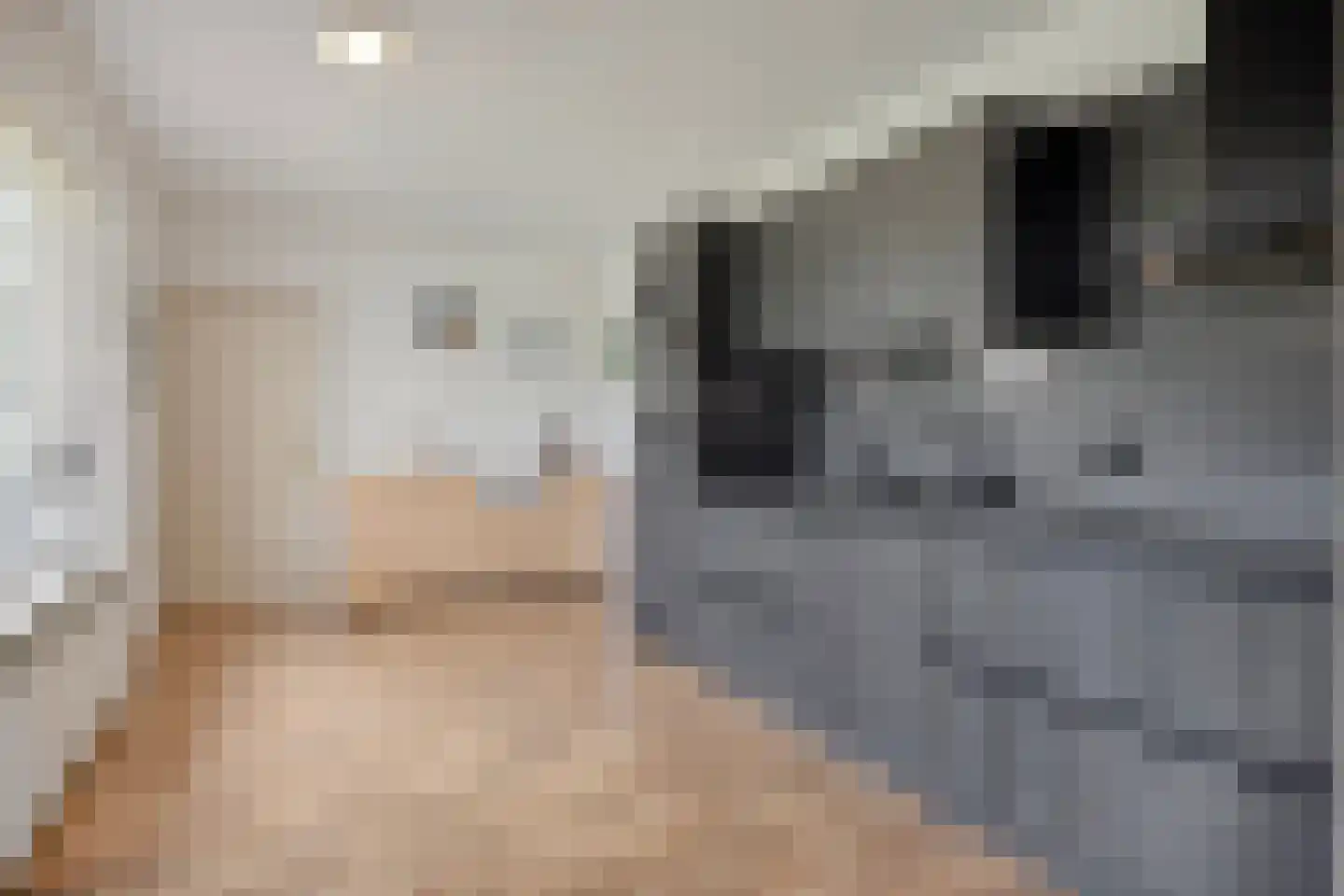 De Paltrok 1 Klazienaveen thumbnail 12