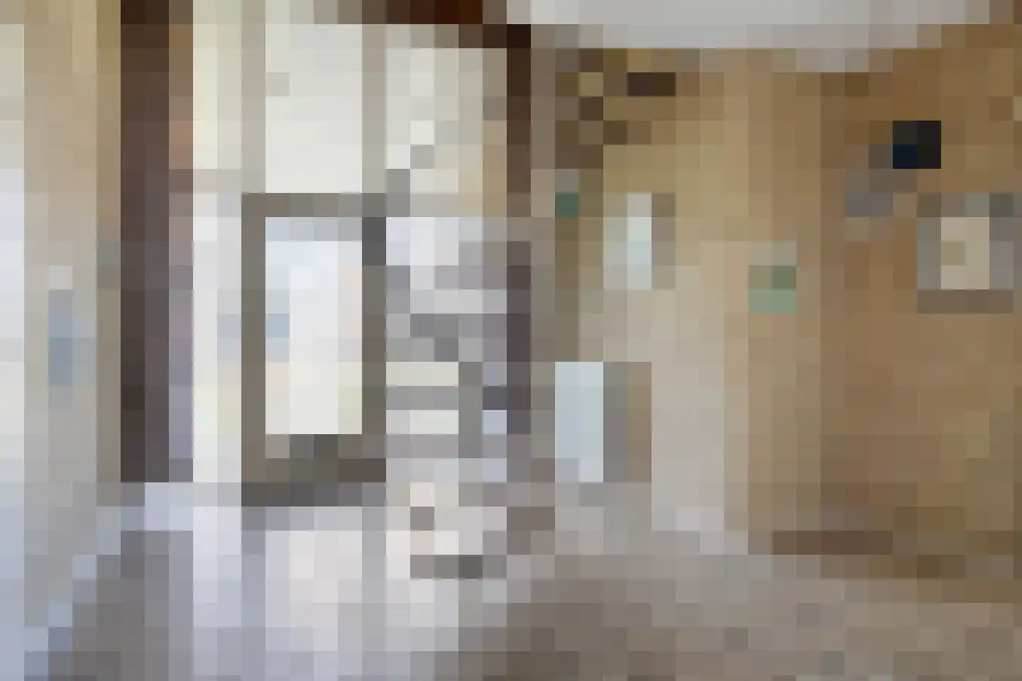 De Paltrok 1 Klazienaveen thumbnail 23