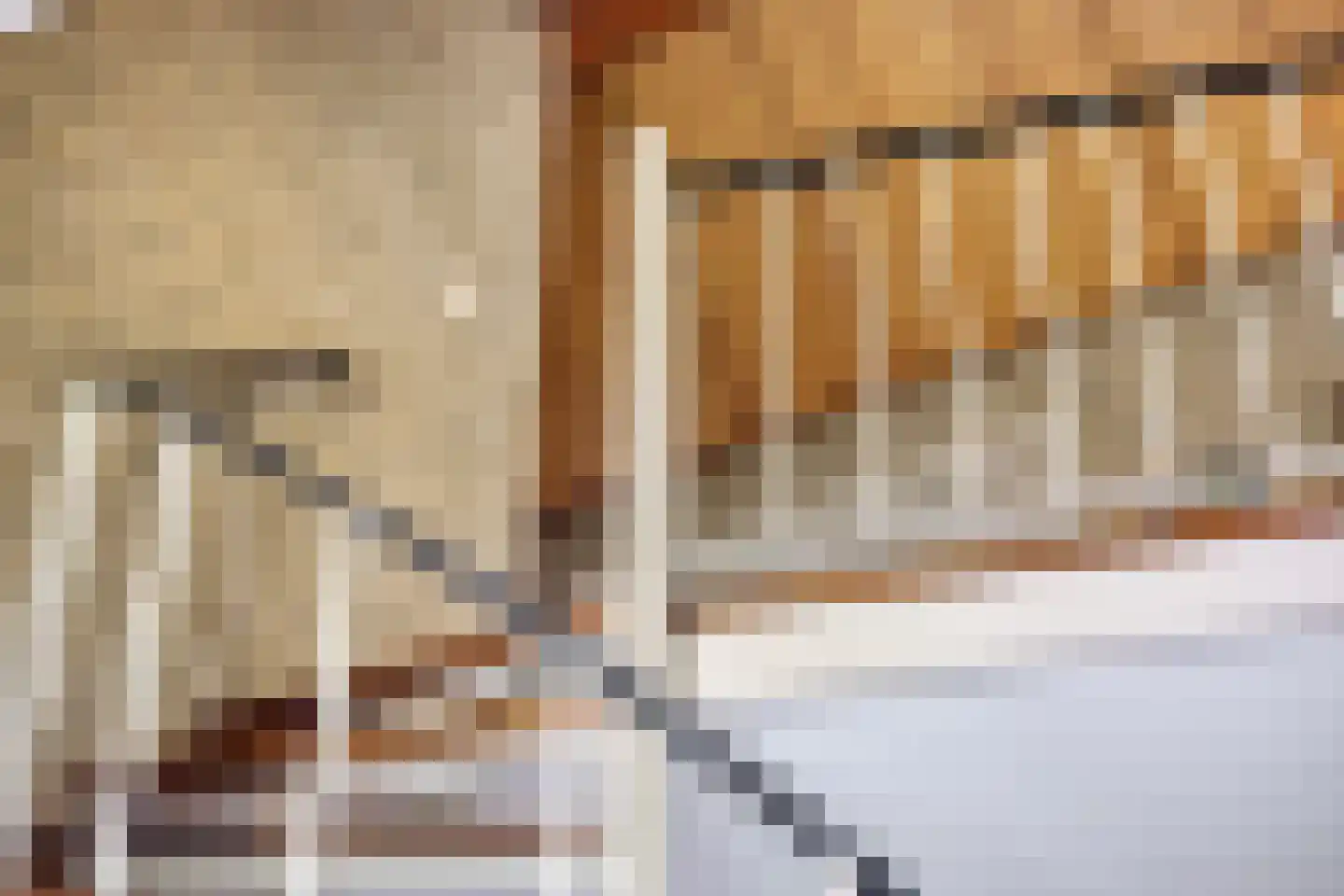 De Paltrok 1 Klazienaveen thumbnail 24