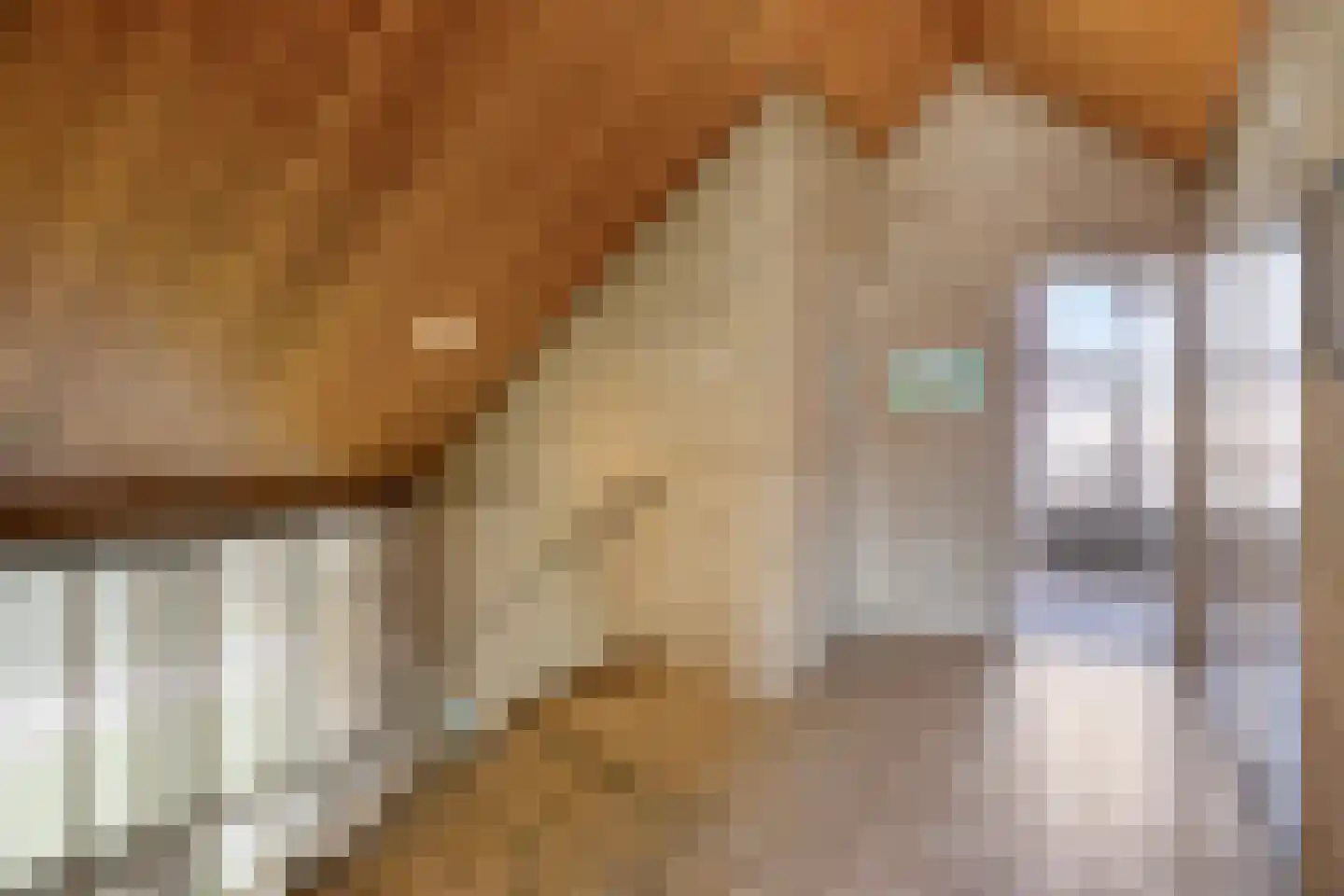 De Paltrok 1 Klazienaveen thumbnail 25