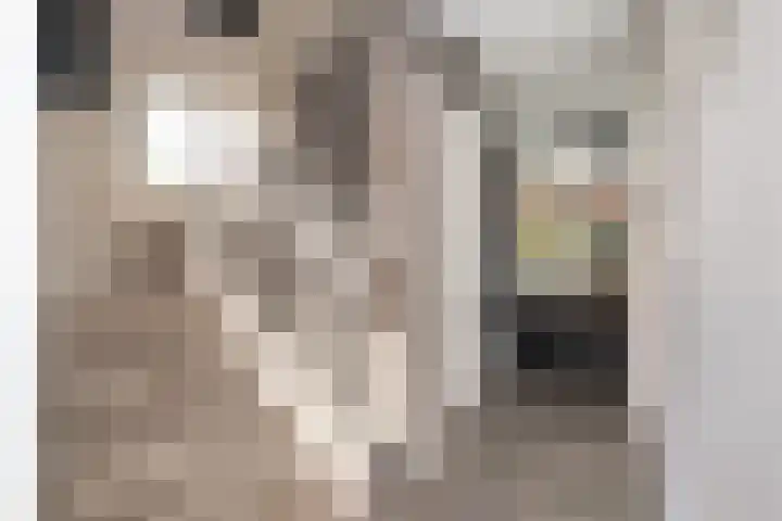 de Pannebakker 1 Nieuwe-Tonge thumbnail 12
