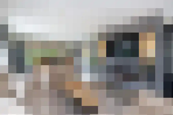 de Pannebakker 1 Nieuwe-Tonge thumbnail 13