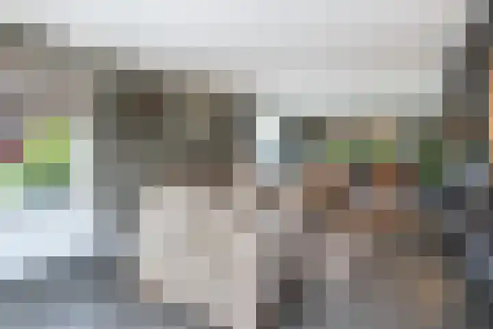 de Pannebakker 1 Nieuwe-Tonge thumbnail 14