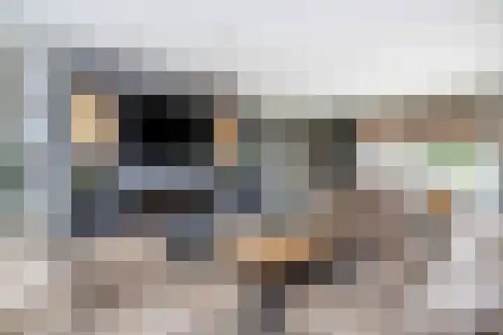 de Pannebakker 1 Nieuwe-Tonge thumbnail 15