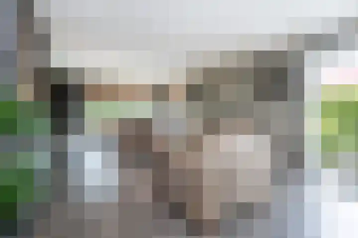 de Pannebakker 1 Nieuwe-Tonge thumbnail 16