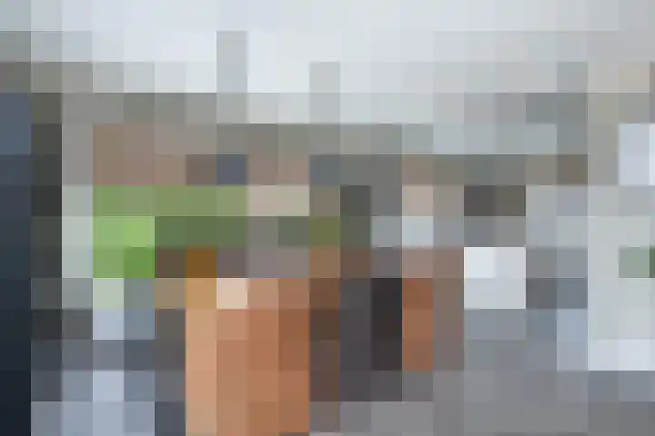 de Pannebakker 1 Nieuwe-Tonge thumbnail 17
