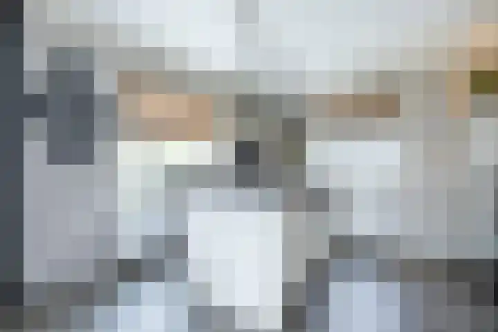 de Pannebakker 1 Nieuwe-Tonge thumbnail 19
