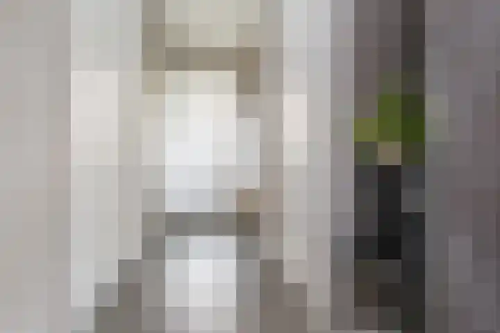 de Pannebakker 1 Nieuwe-Tonge thumbnail 21