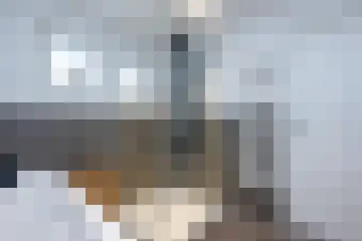 de Pannebakker 1 Nieuwe-Tonge thumbnail 24