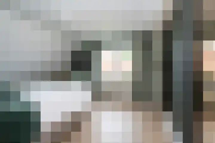 de Pannebakker 1 Nieuwe-Tonge thumbnail 27