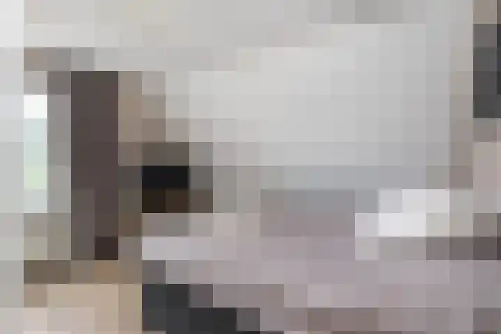 de Pannebakker 1 Nieuwe-Tonge thumbnail 29