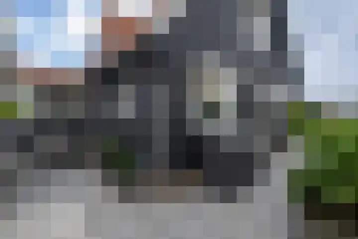 de Pannebakker 1 Nieuwe-Tonge foto 3