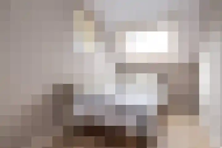 de Pannebakker 1 Nieuwe-Tonge thumbnail 30