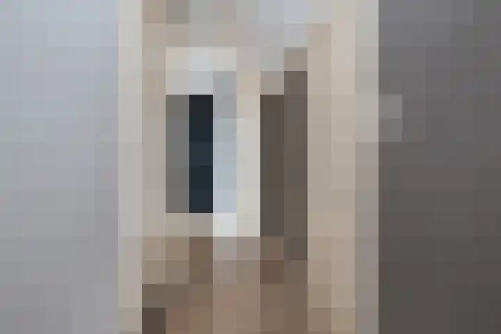 de Pannebakker 1 Nieuwe-Tonge thumbnail 31