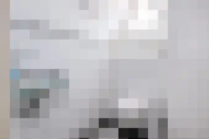 de Pannebakker 1 Nieuwe-Tonge thumbnail 32
