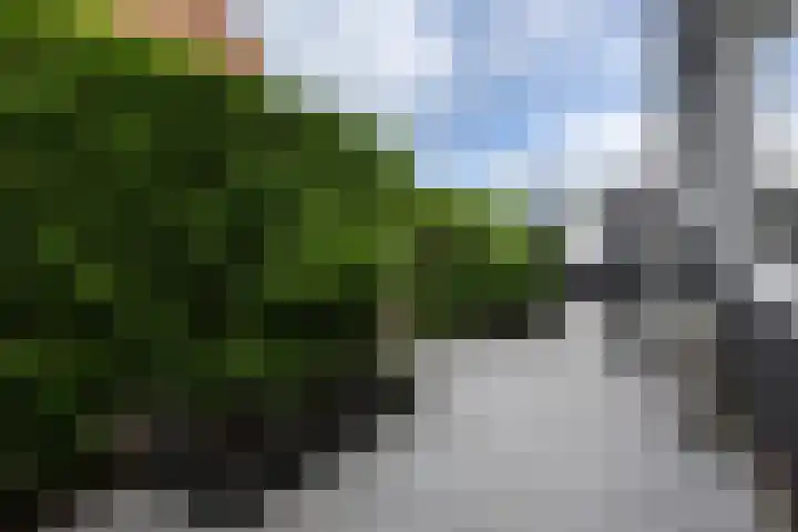 de Pannebakker 1 Nieuwe-Tonge thumbnail 33