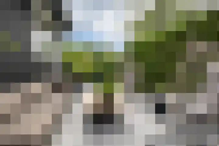 de Pannebakker 1 Nieuwe-Tonge thumbnail 35