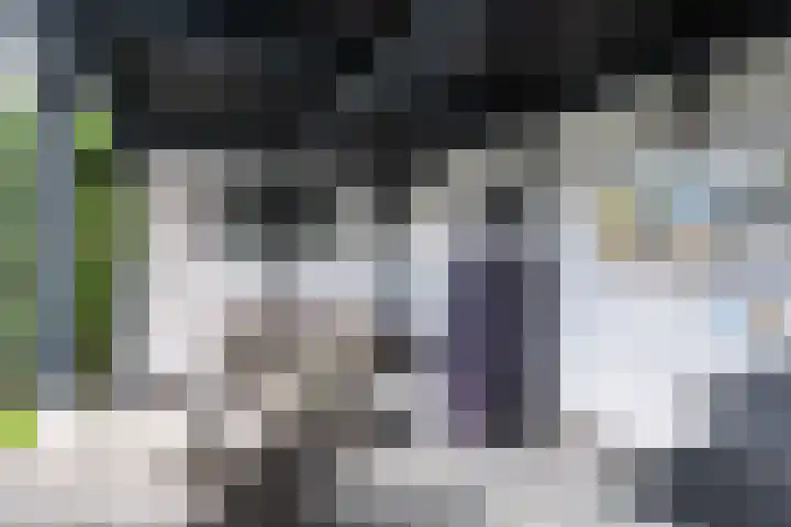 de Pannebakker 1 Nieuwe-Tonge thumbnail 36