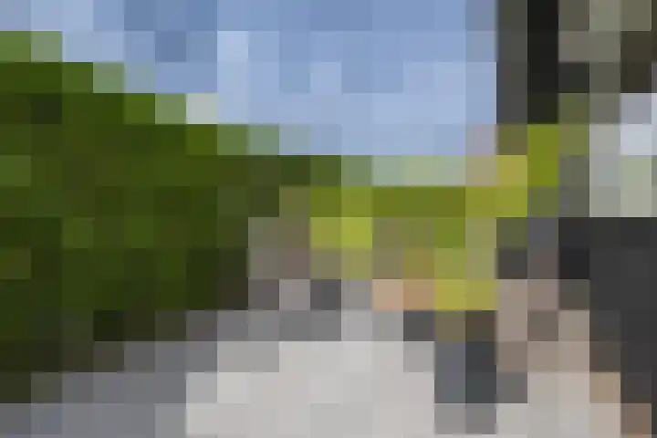 de Pannebakker 1 Nieuwe-Tonge thumbnail 38