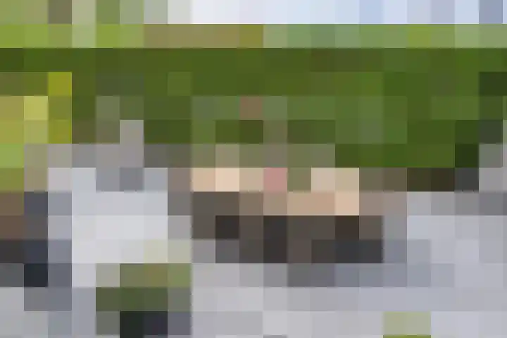 de Pannebakker 1 Nieuwe-Tonge thumbnail 39