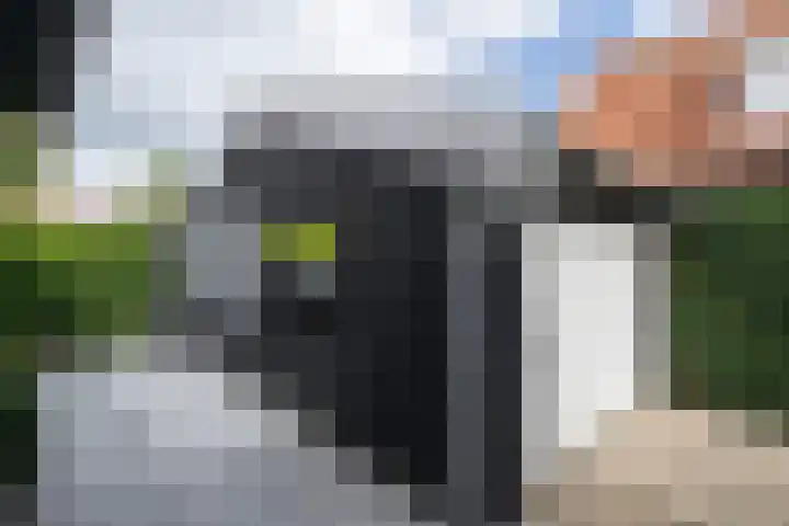 de Pannebakker 1 Nieuwe-Tonge thumbnail 4