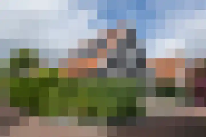de Pannebakker 1 Nieuwe-Tonge thumbnail 42