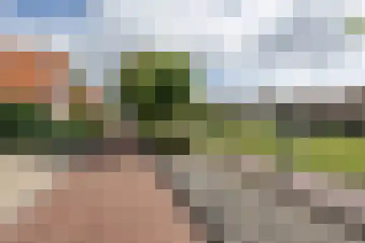 de Pannebakker 1 Nieuwe-Tonge thumbnail 43