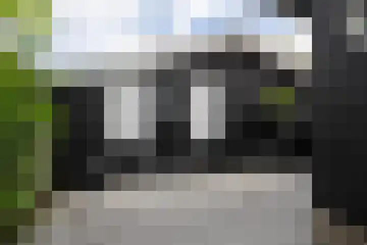 de Pannebakker 1 Nieuwe-Tonge thumbnail 44