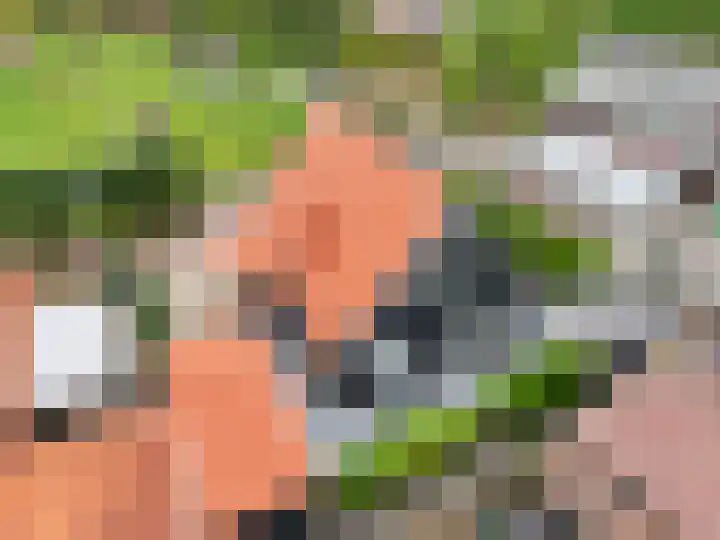 de Pannebakker 1 Nieuwe-Tonge thumbnail 45
