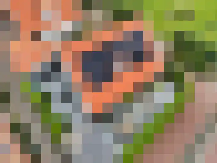 de Pannebakker 1 Nieuwe-Tonge thumbnail 46