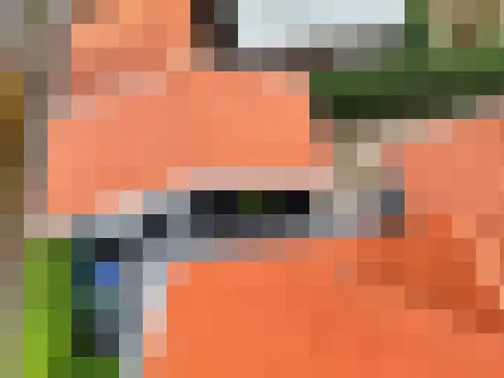 de Pannebakker 1 Nieuwe-Tonge thumbnail 48