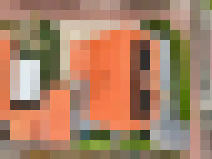 de Pannebakker 1 Nieuwe-Tonge thumbnail 49