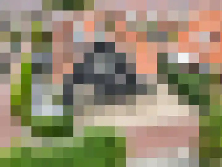 de Pannebakker 1 Nieuwe-Tonge thumbnail 5