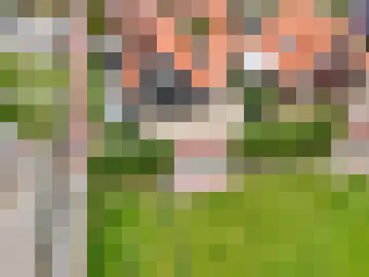 de Pannebakker 1 Nieuwe-Tonge thumbnail 50