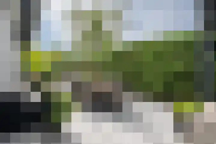 de Pannebakker 1 Nieuwe-Tonge thumbnail 6