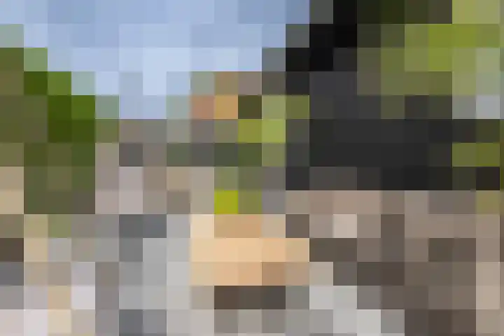 de Pannebakker 1 Nieuwe-Tonge thumbnail 7
