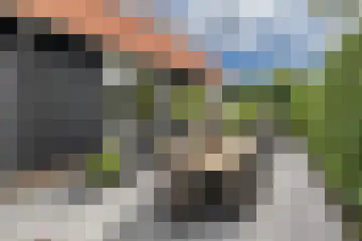de Pannebakker 1 Nieuwe-Tonge thumbnail 8